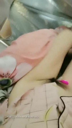 预览图14