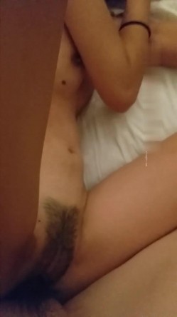 预览图3