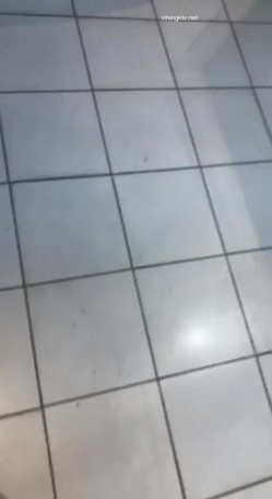 预览图9