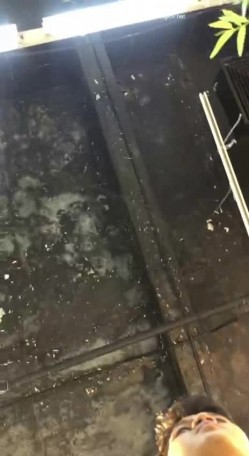 预览图11