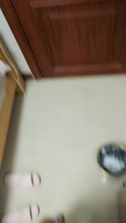 预览图6
