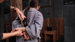 预览图4