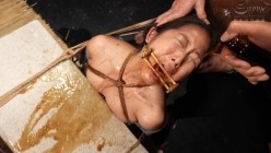 预览图7