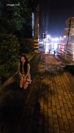 预览图1