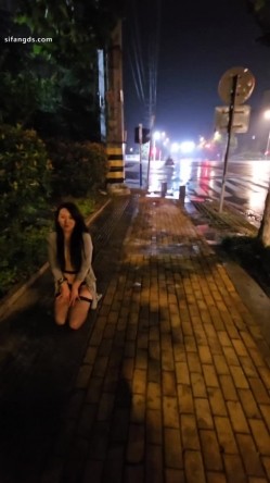 预览图2
