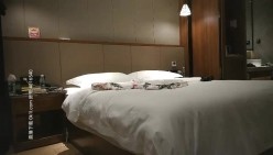 预览图4