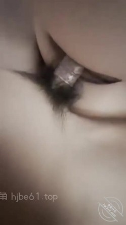 预览图4