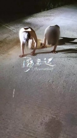 预览图6