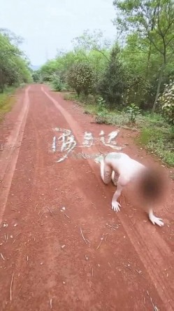 预览图15