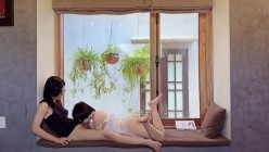 预览图6