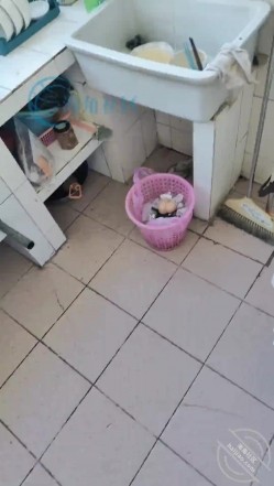 预览图1