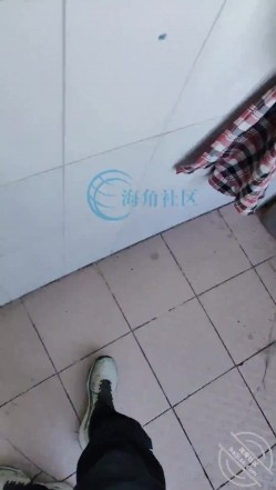 预览图2