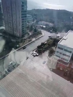 预览图13