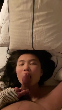 预览图4
