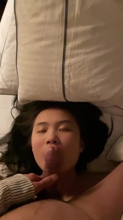 预览图5