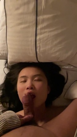 预览图14