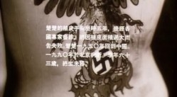 预览图16