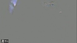 预览图5