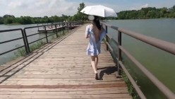 预览图16