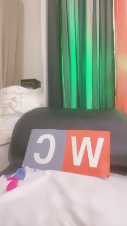 预览图12