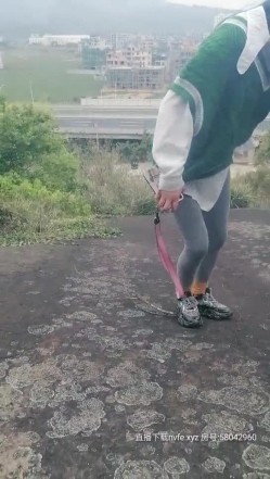 预览图2