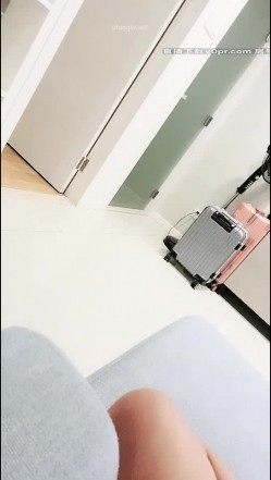 预览图8