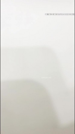 预览图10