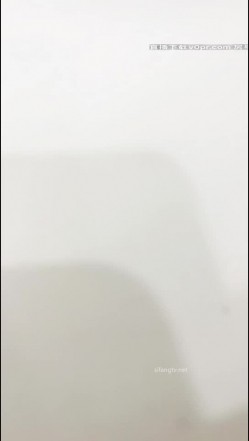 预览图11