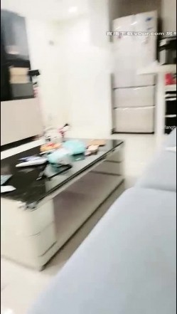 预览图14