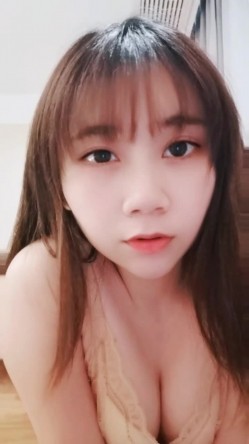预览图14
