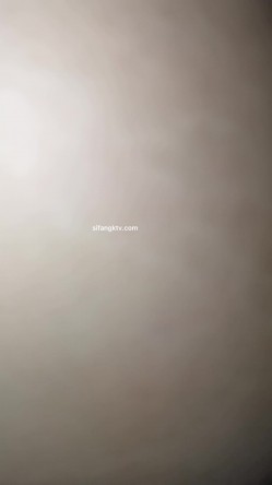 预览图7