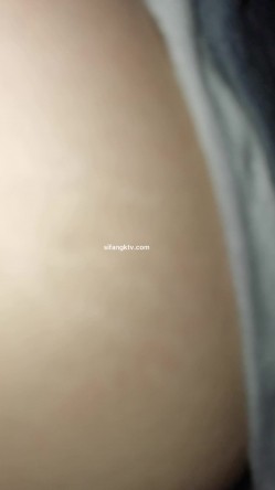 预览图8