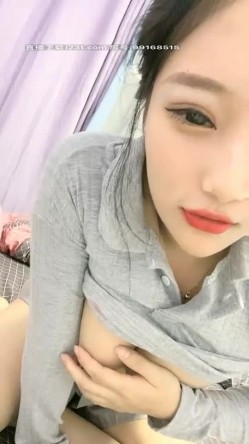 预览图7