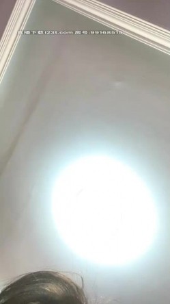 预览图14