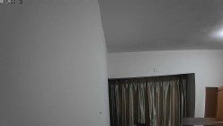 预览图5