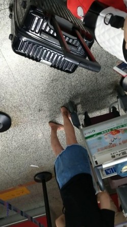 预览图14