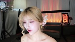 预览图4