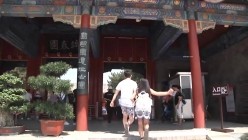 预览图4