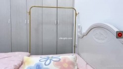 预览图5