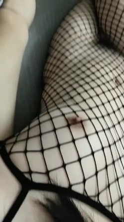 预览图4