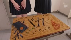 预览图4