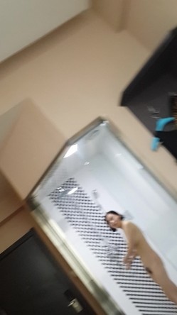 预览图6