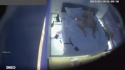 预览图11