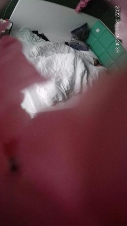 预览图5