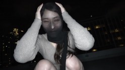 预览图14