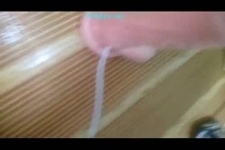 预览图15