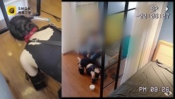 预览图8