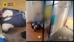 预览图10