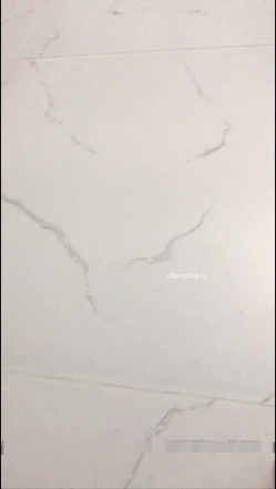 预览图13