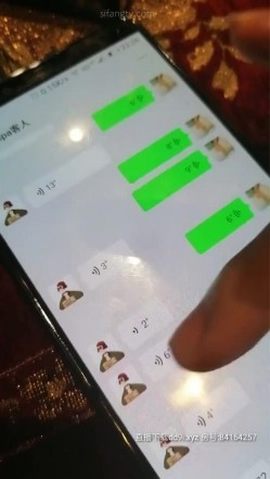 预览图10